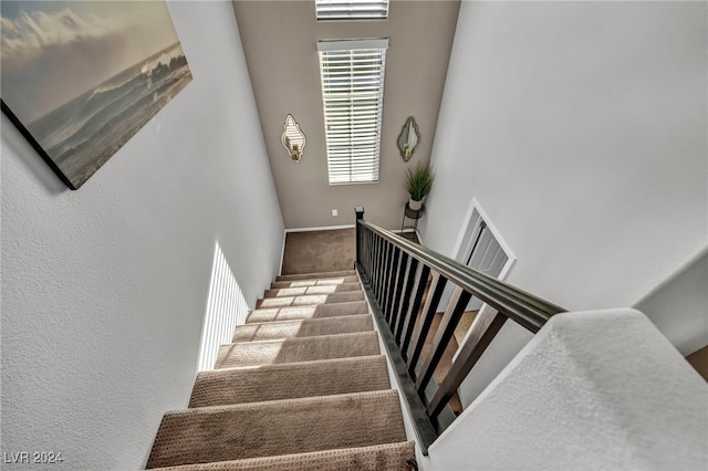 staircase with carpet