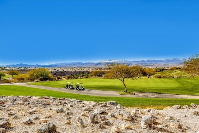 view of community featuring a mountain view and a yard