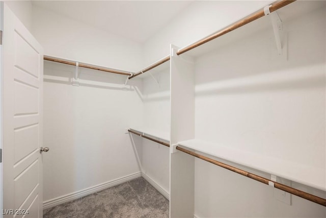 spacious closet with carpet flooring