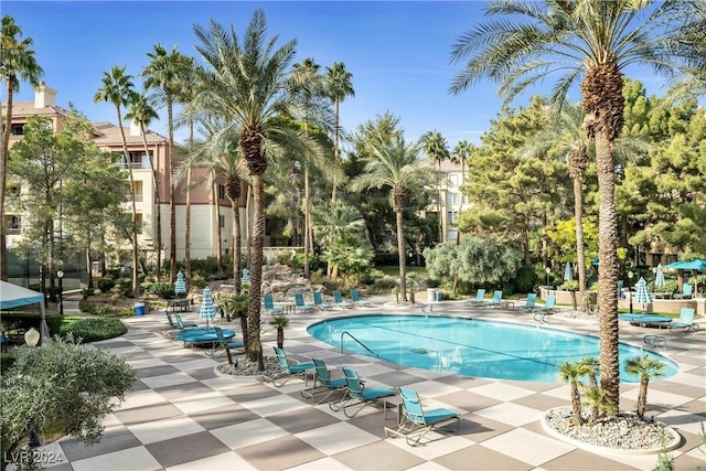 view of swimming pool featuring a patio