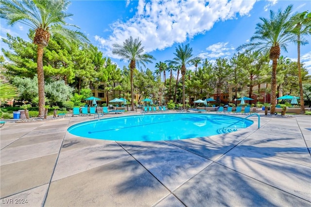 view of pool with a patio area