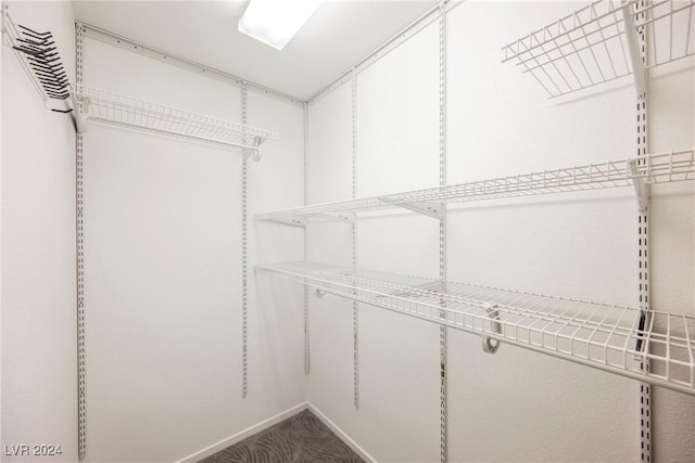 walk in closet with carpet