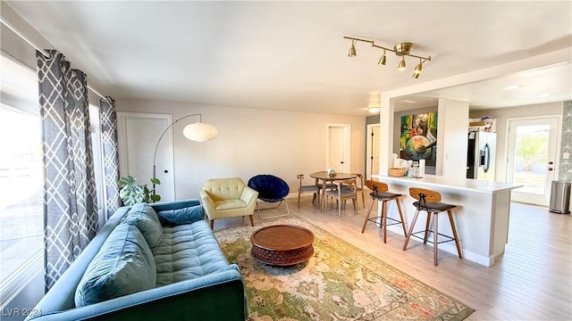 living room with hardwood / wood-style flooring