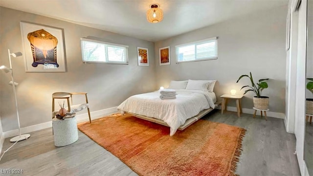 bedroom featuring wood-type flooring