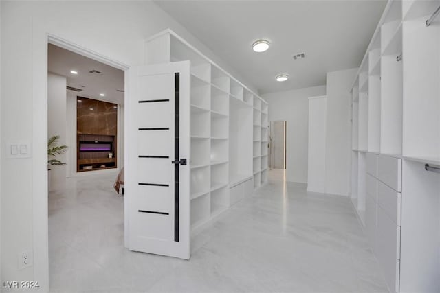 view of walk in closet