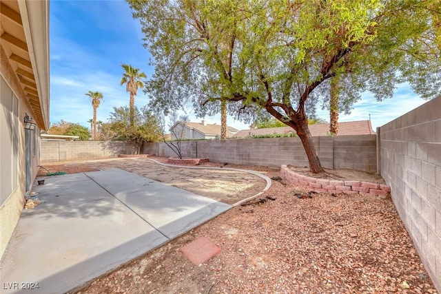 view of yard featuring a patio area