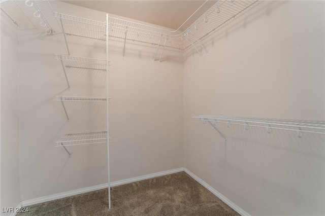 spacious closet with carpet