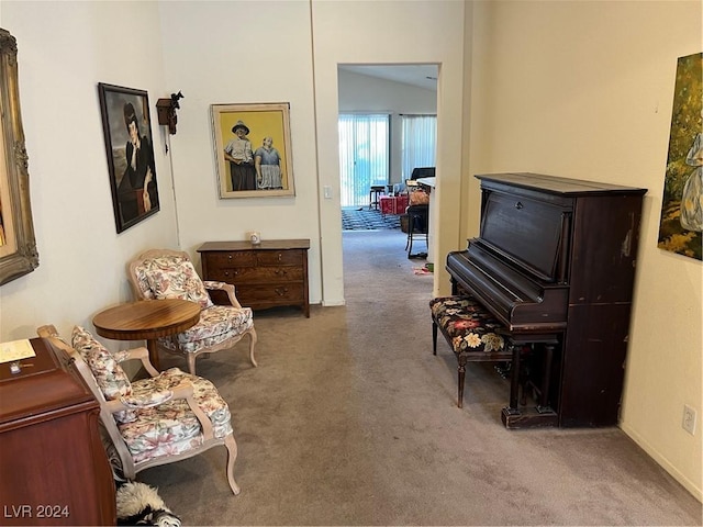 living area featuring carpet floors