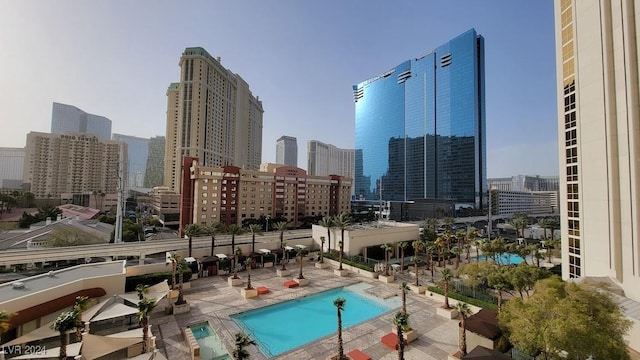 view of pool with a patio