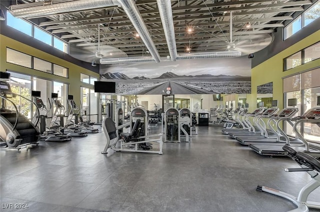 workout area featuring a healthy amount of sunlight and a towering ceiling