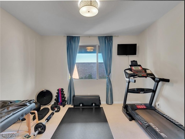 workout area featuring carpet flooring