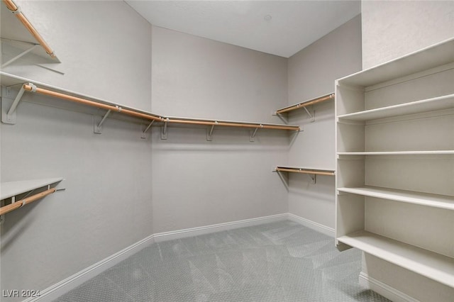 spacious closet with light colored carpet