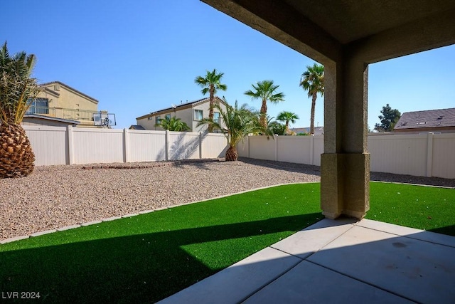 view of yard featuring a patio area