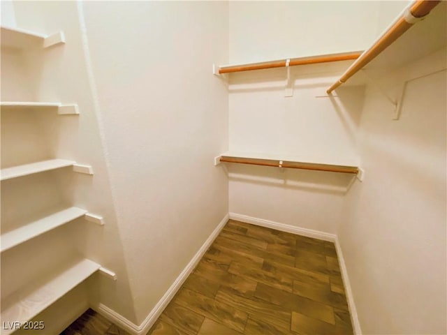 spacious closet featuring dark wood-type flooring