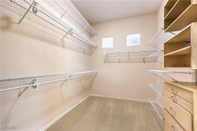 spacious closet featuring light colored carpet