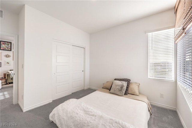 bedroom featuring dark carpet and a closet