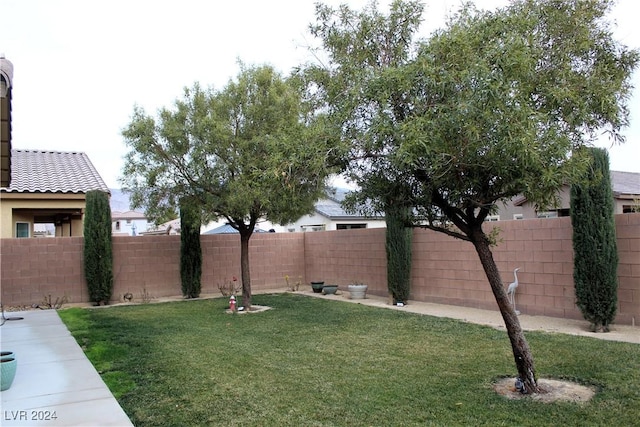 view of yard featuring a fenced backyard