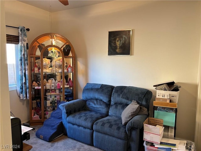 view of carpeted living area