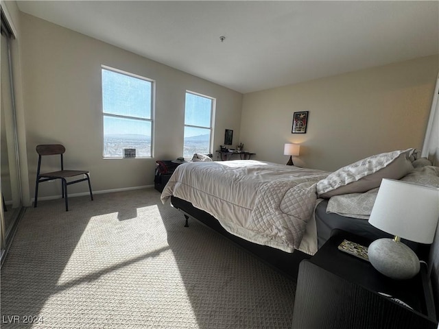 view of carpeted bedroom