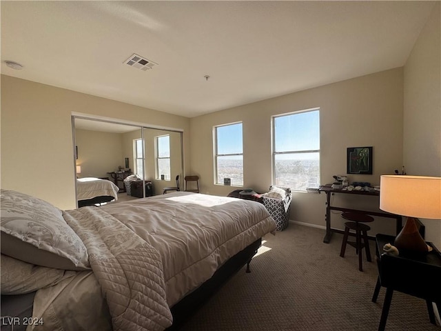 bedroom featuring carpet and a closet