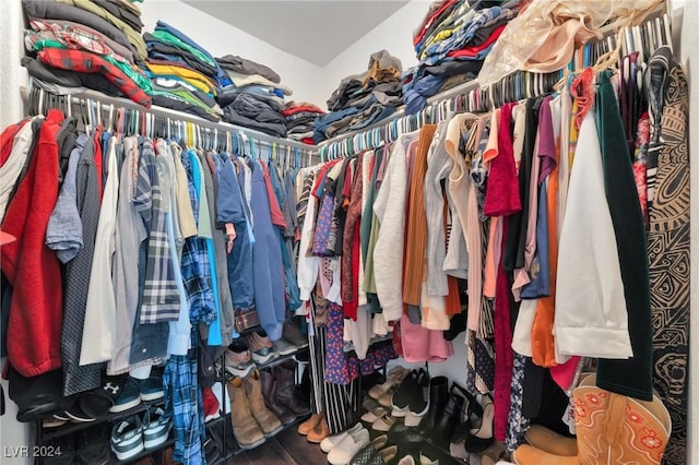 view of spacious closet