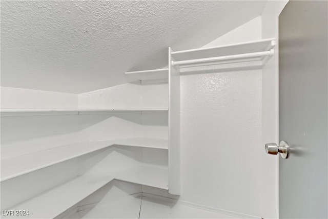 walk in closet with lofted ceiling