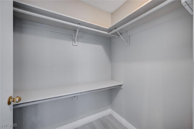 spacious closet with wood-type flooring