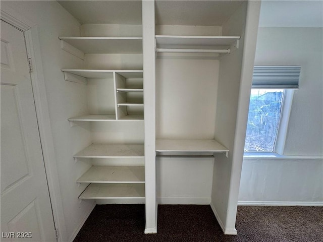 view of closet