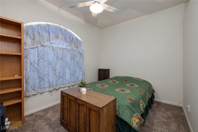 730 Descartes Ave, Henderson, NV 89002 - photo 28