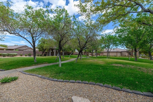 view of community with a lawn