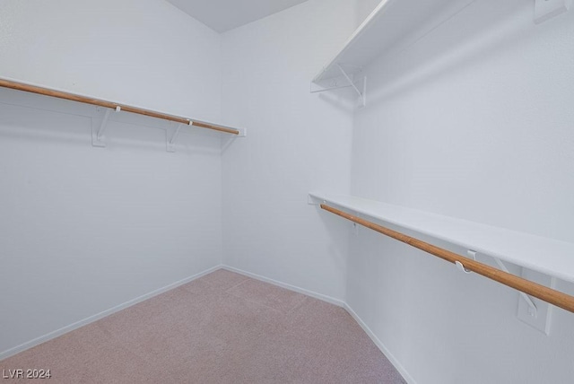 walk in closet featuring light colored carpet