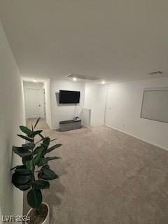 basement featuring carpet floors