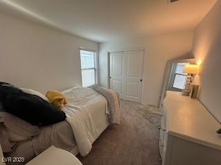 bedroom featuring carpet and a closet