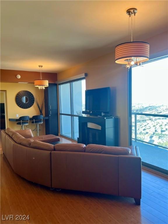 living room with plenty of natural light and wood-type flooring