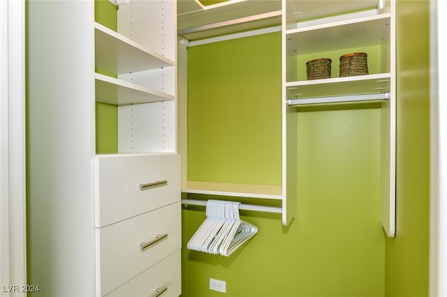 view of walk in closet