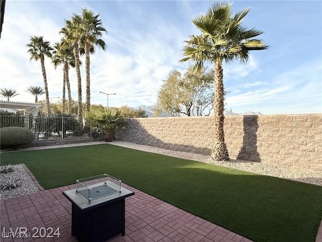 view of yard with a patio area