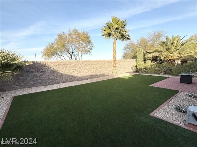 view of yard with a patio