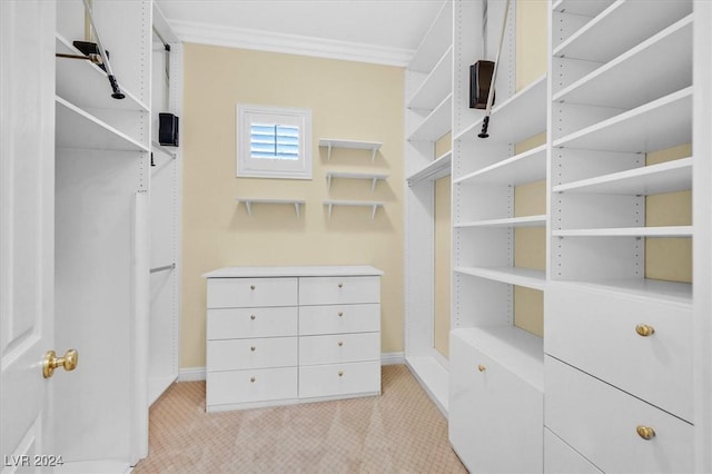 walk in closet with light colored carpet