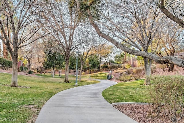 surrounding community with a lawn