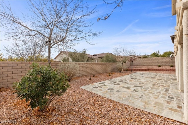 view of yard featuring a patio area