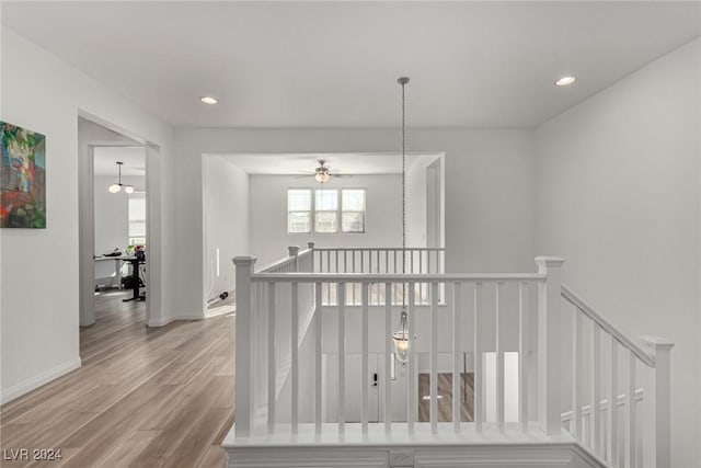 hall with plenty of natural light and wood-type flooring