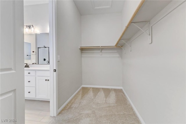 walk in closet with light carpet