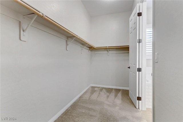 walk in closet featuring light colored carpet