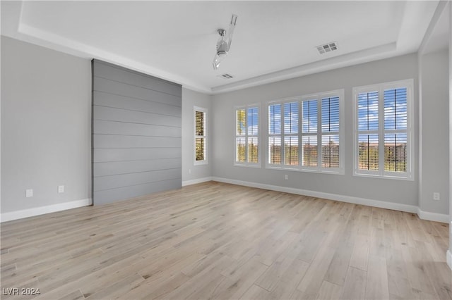 spare room featuring a raised ceiling and light wood-type flooring