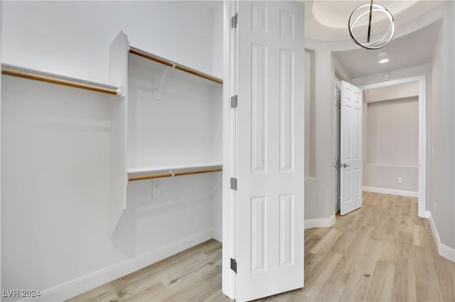 spacious closet featuring light hardwood / wood-style flooring