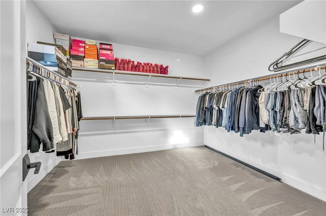 walk in closet with carpet floors