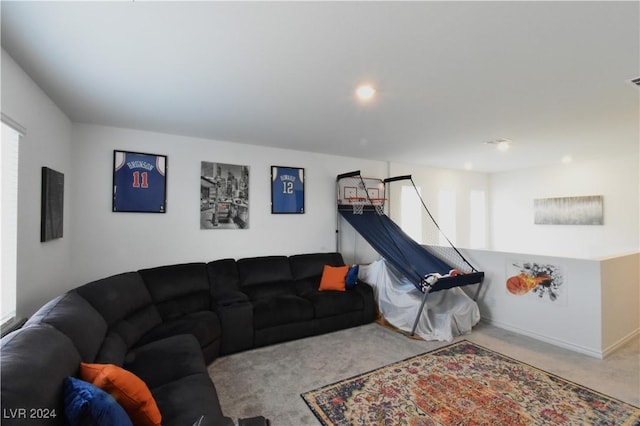 living room with carpet floors