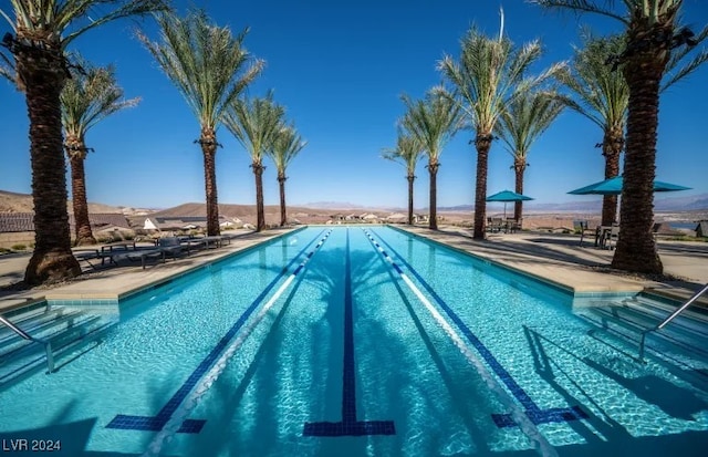 view of swimming pool featuring a patio area