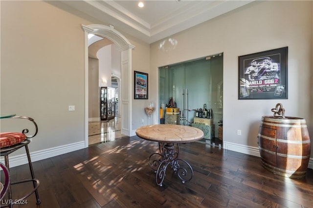 interior space featuring a tray ceiling and dark wood-type flooring