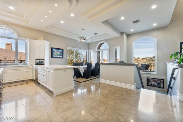 kitchen with a raised ceiling, a healthy amount of sunlight, and white cabinetry